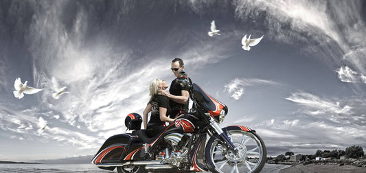 THE BIRDS OF LOVE STORY